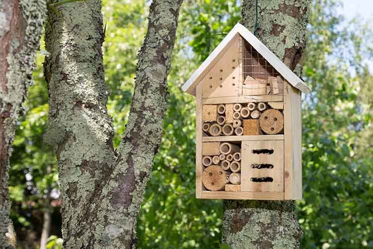 Bienenhotel Bienenhotel