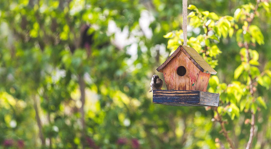 Vogelhäusschen Vogelhäusschen