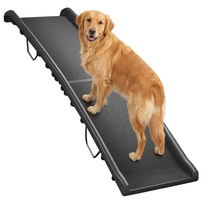 Hunderampe Paw Step online kaufen | tectake